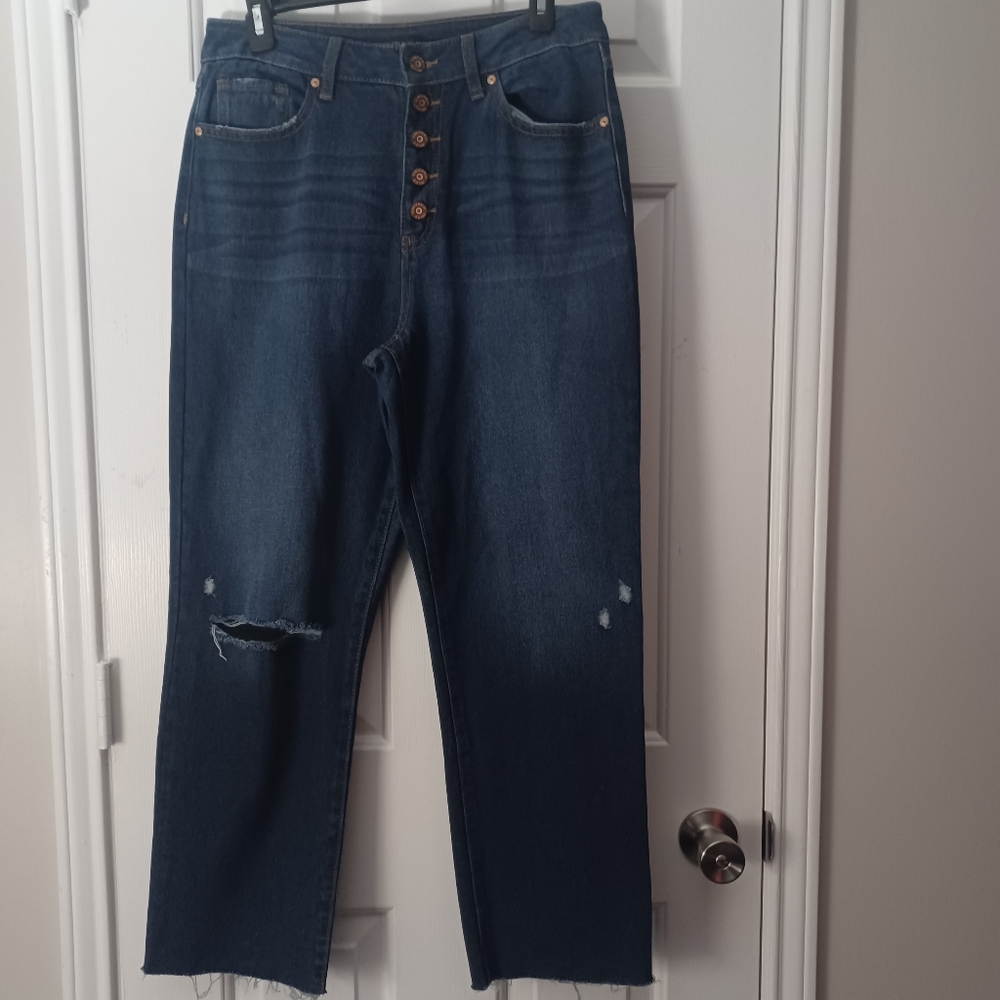 Sincerely Jules Distressed Jeans Cropped Sz 28